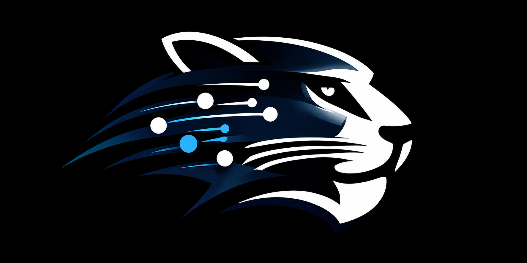 Jaguar Data Systems Inc.